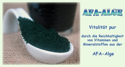 Afa-Alge von Naturix24