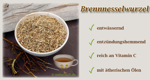 Brennnesselwurzel von Naturix24