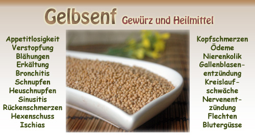 Gelbsenf von Naturix24