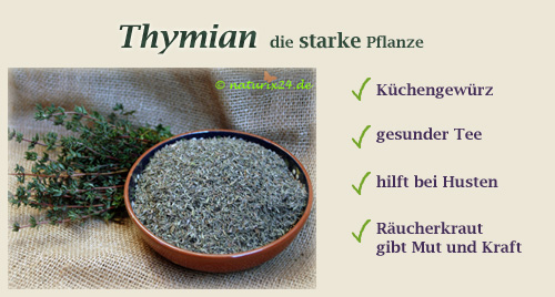 Thymian geschnitten